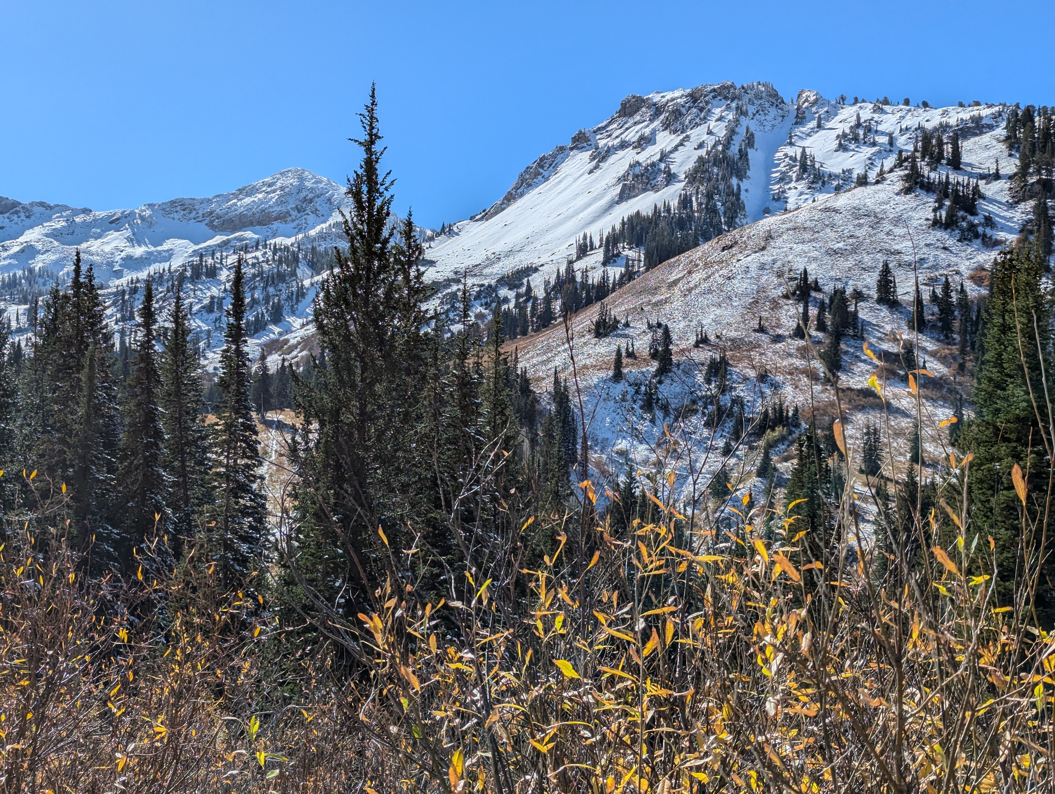 0002_Utah PXL 20241019 180420873