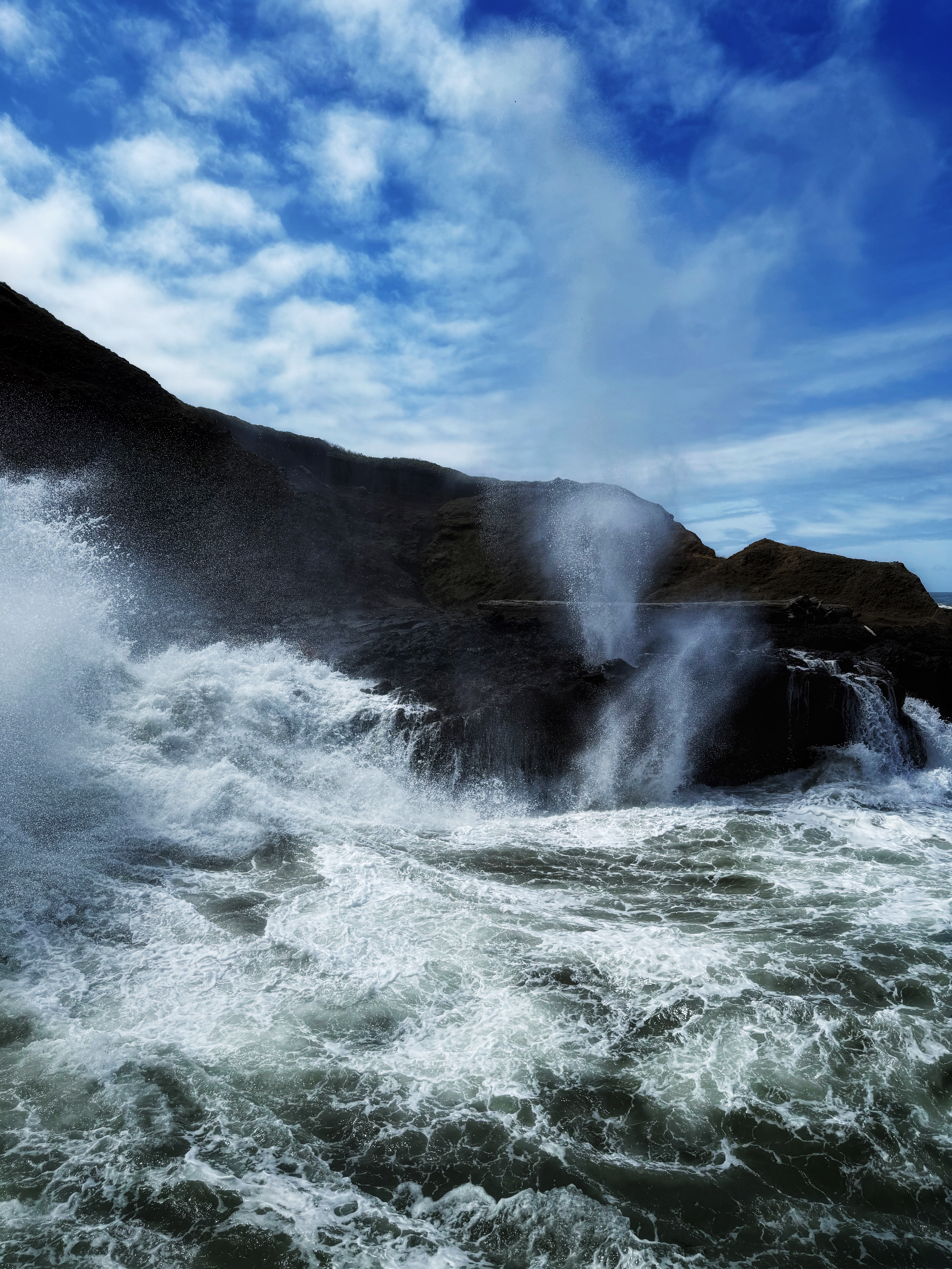 0003_Oregon IMG 3125