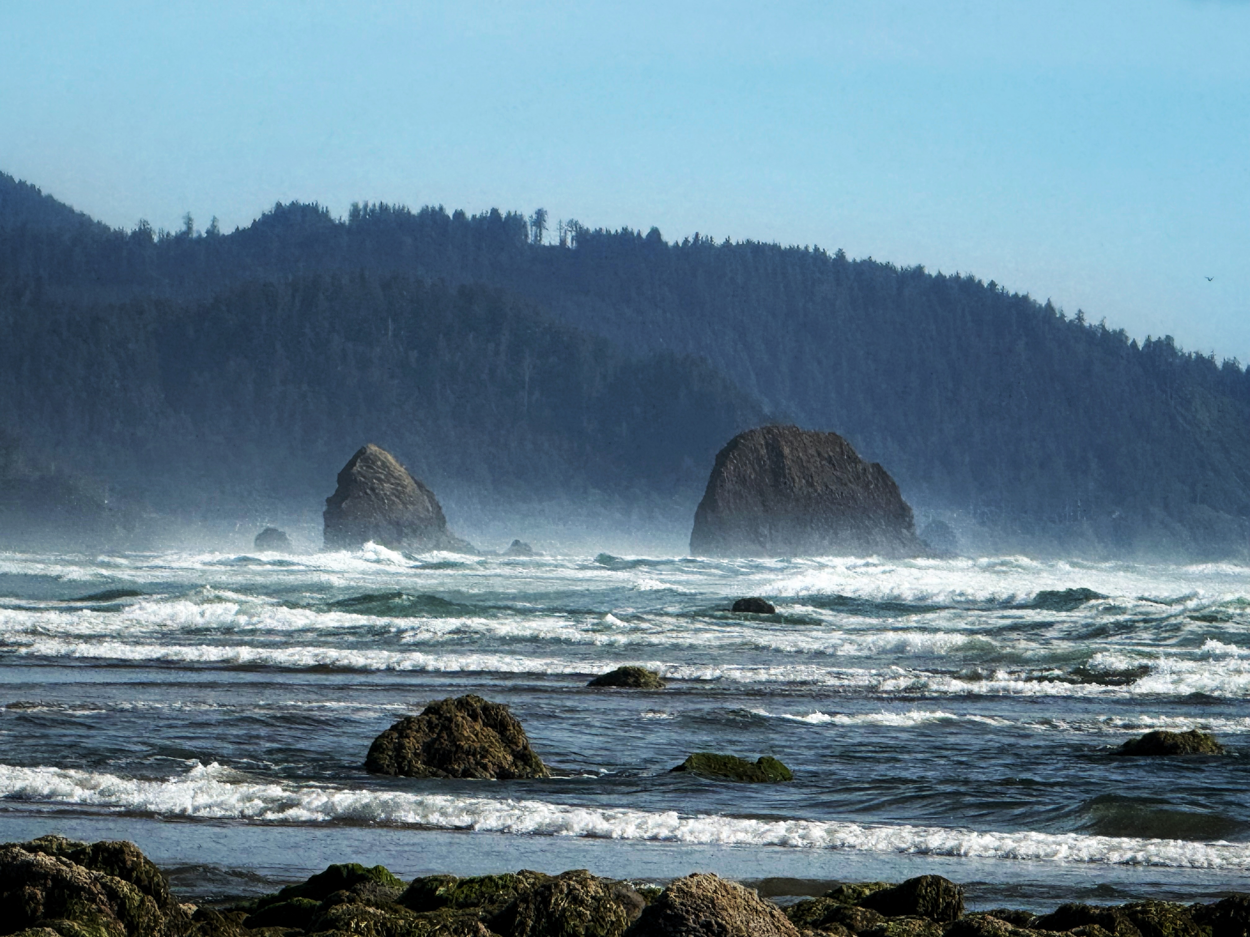 0003_Oregon IMG 3234
