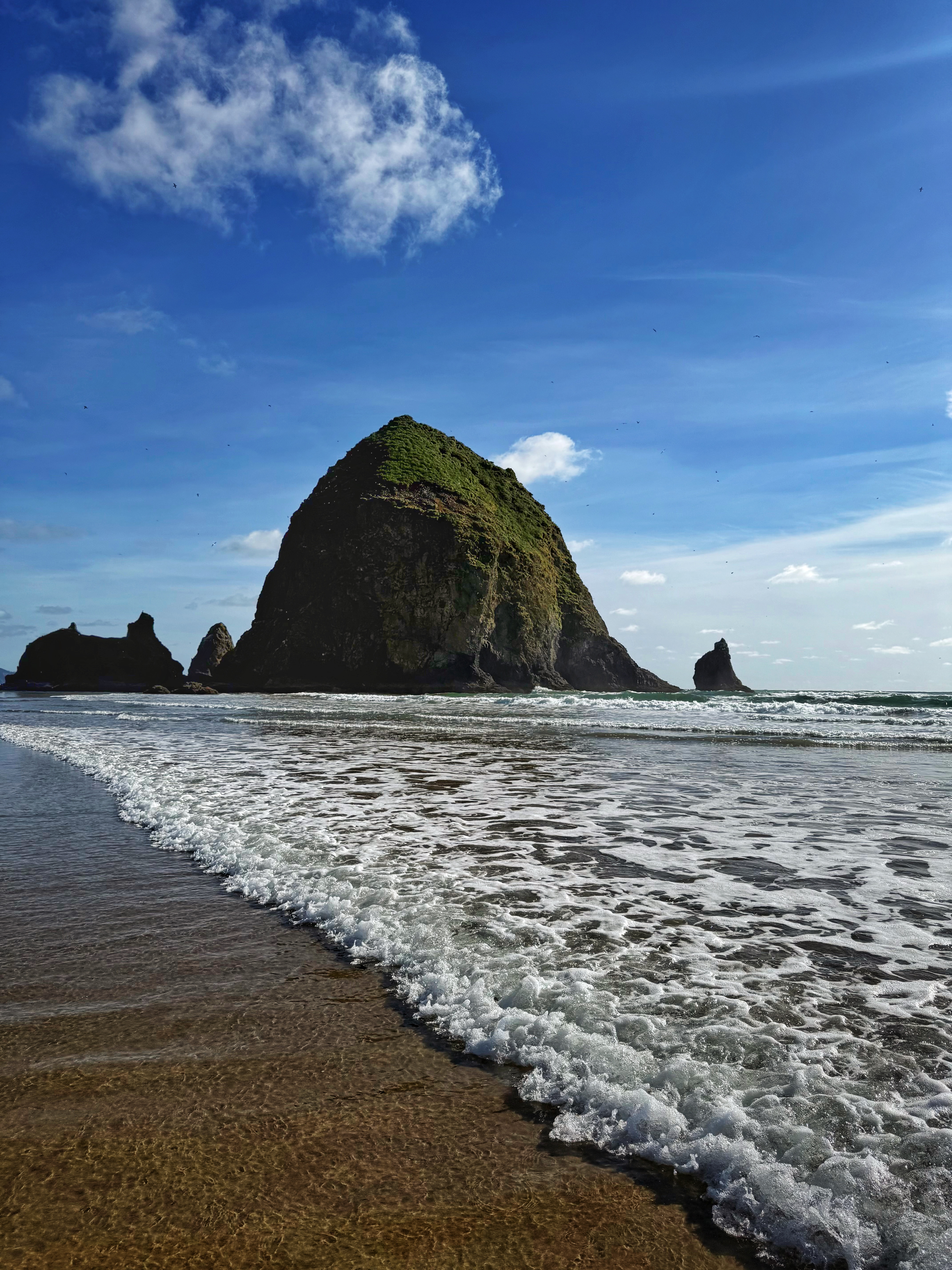 0003_Oregon IMG 3236