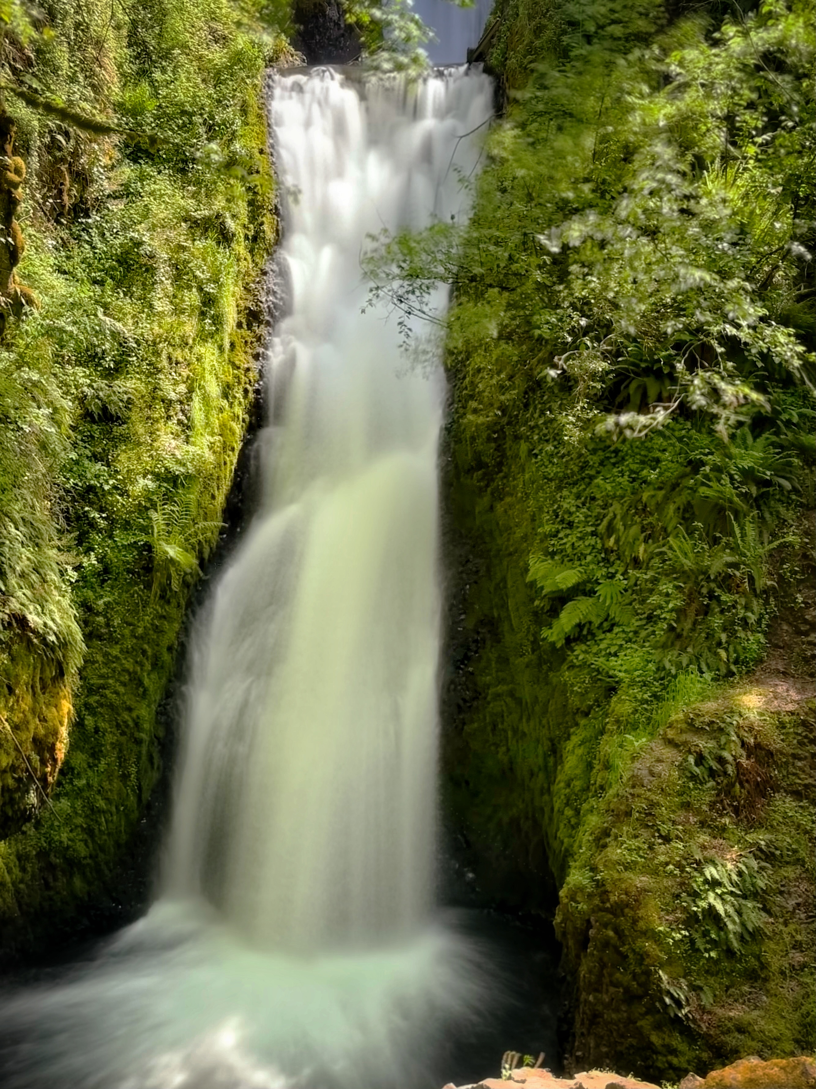 0003_Oregon Oregon3