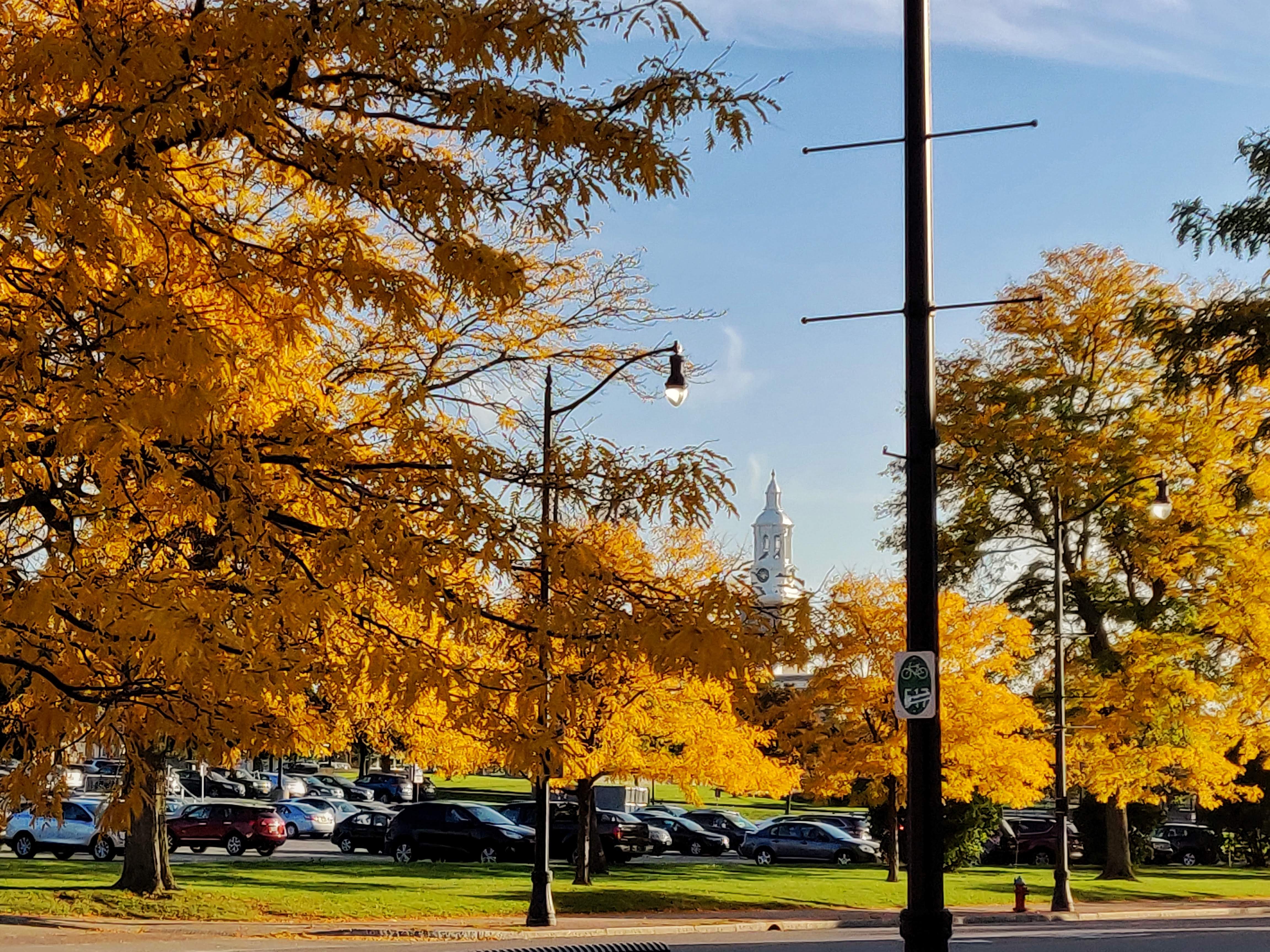 0004_Buffalo IMG 20181009 171722 01