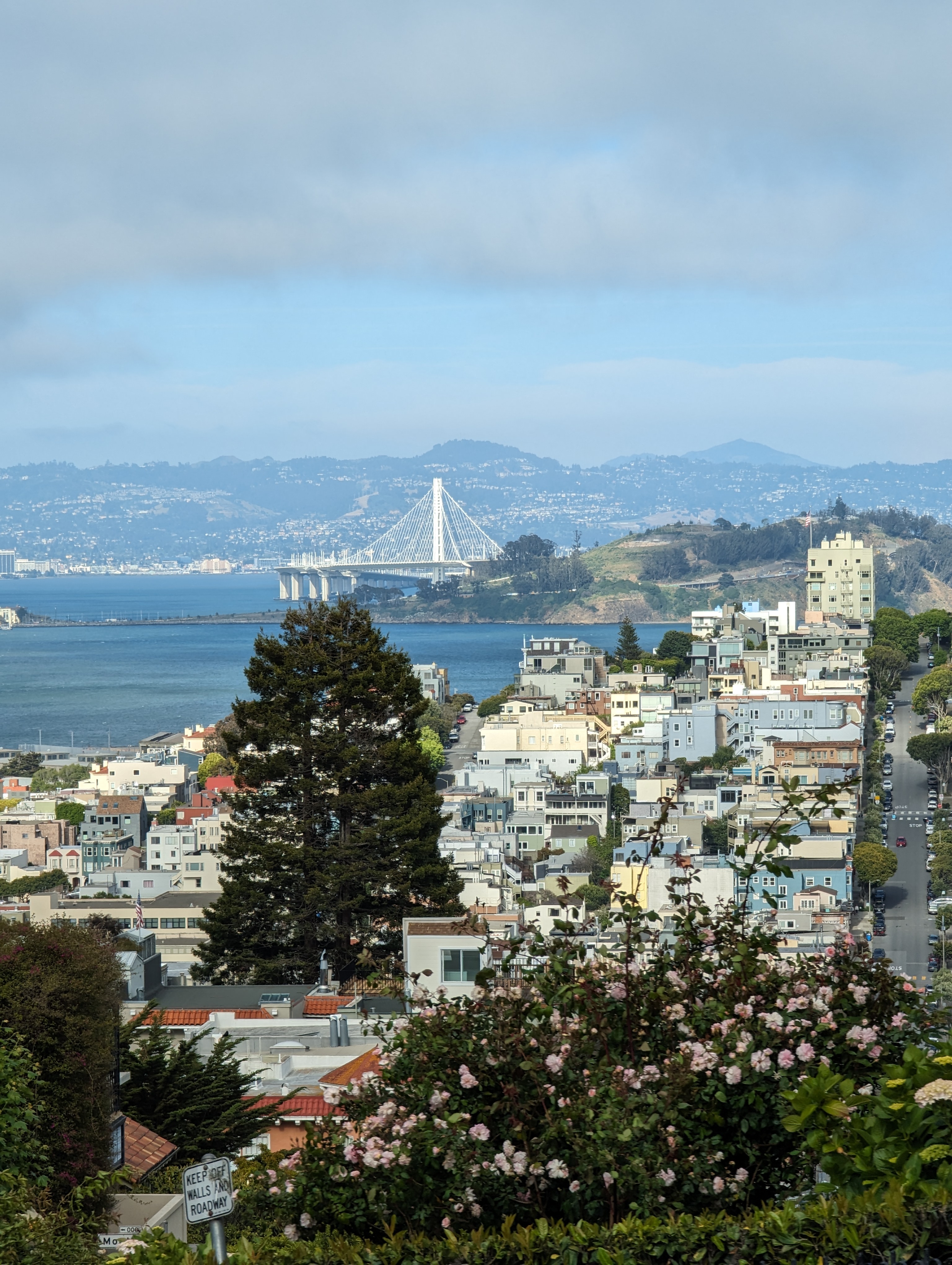 0006_SanFrancisco PXL 20240514 002337771