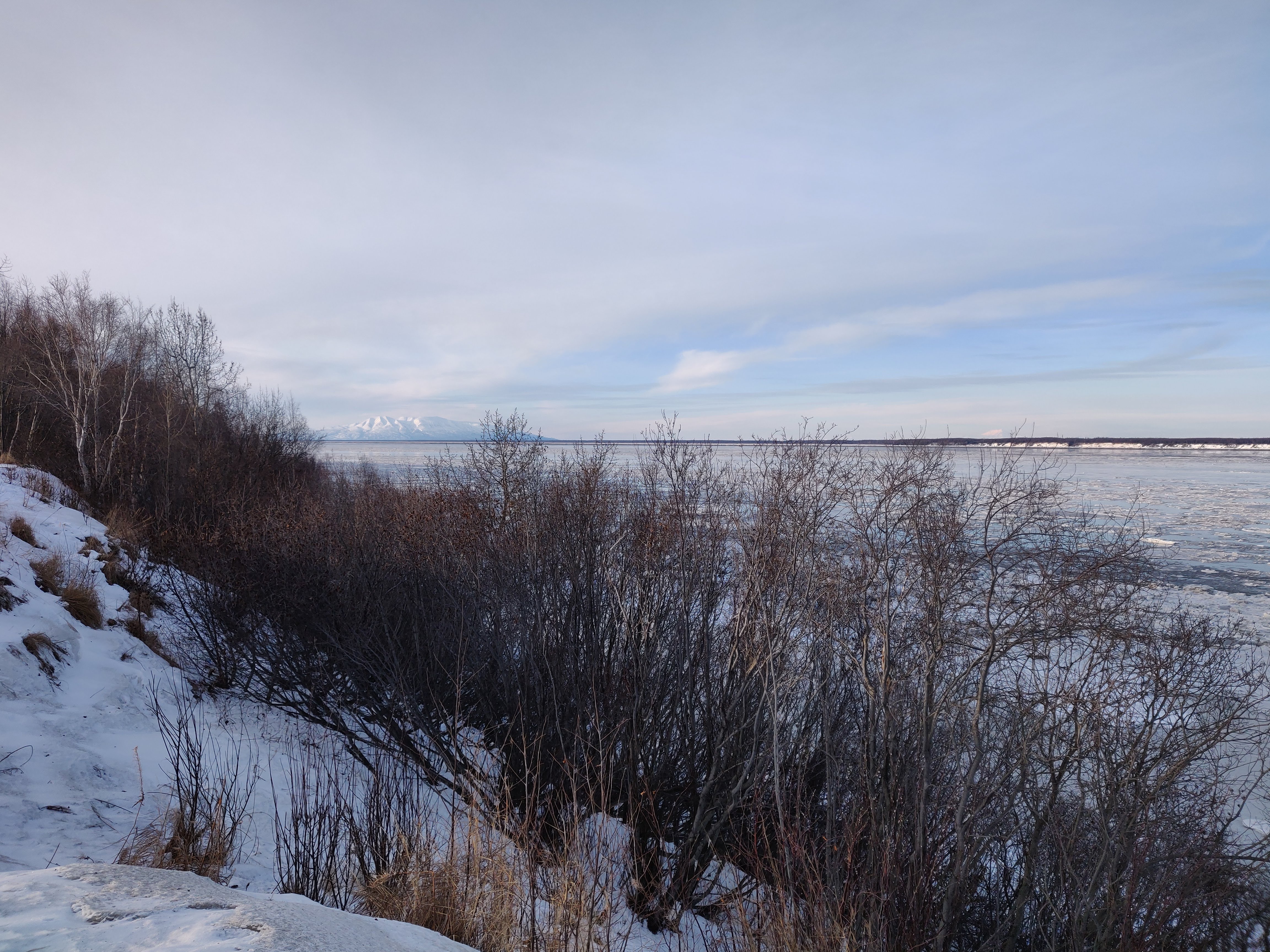 0011_Alaska IMG 20200214 155237