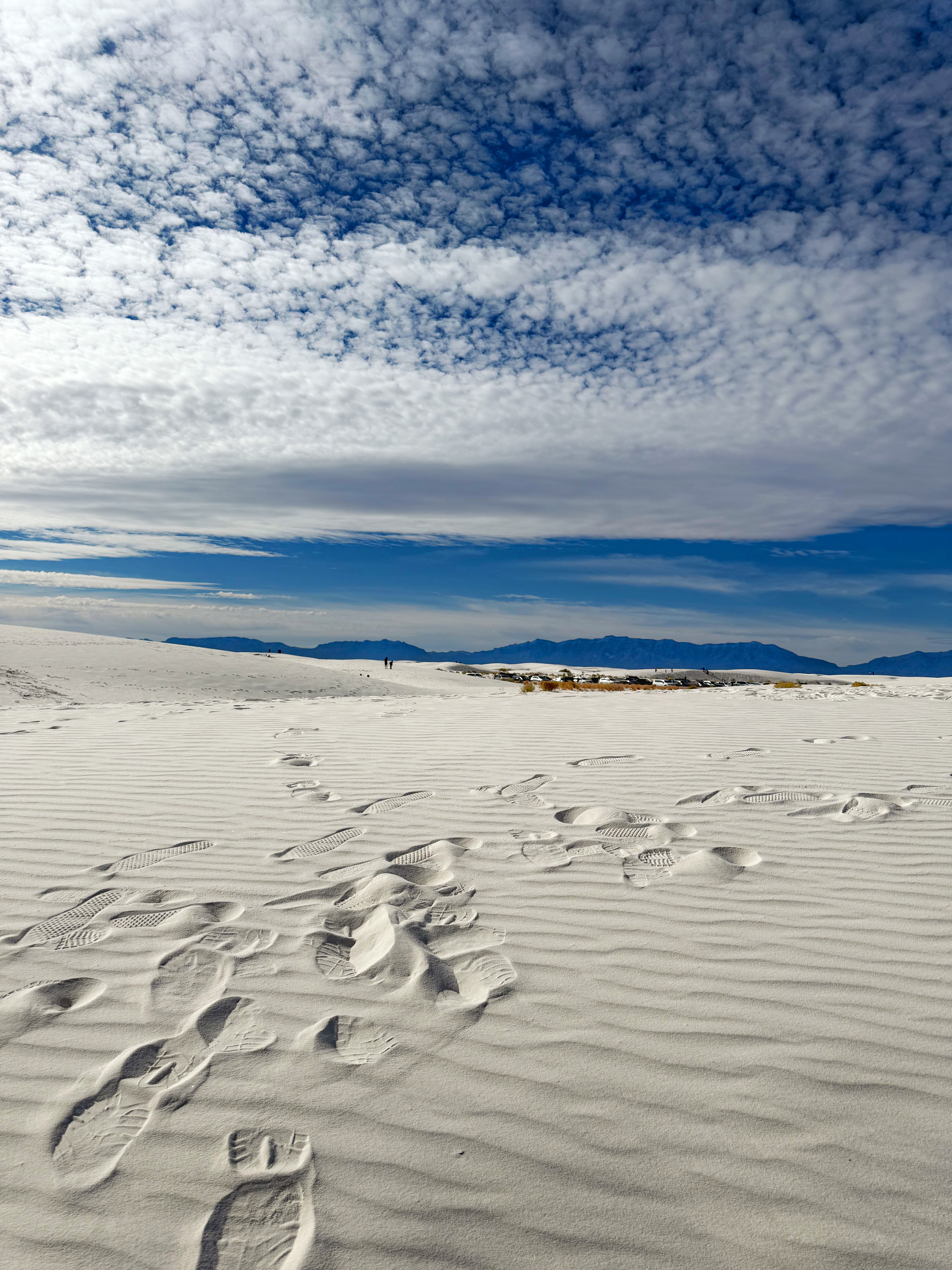 0012_NewMexico IMG 0214