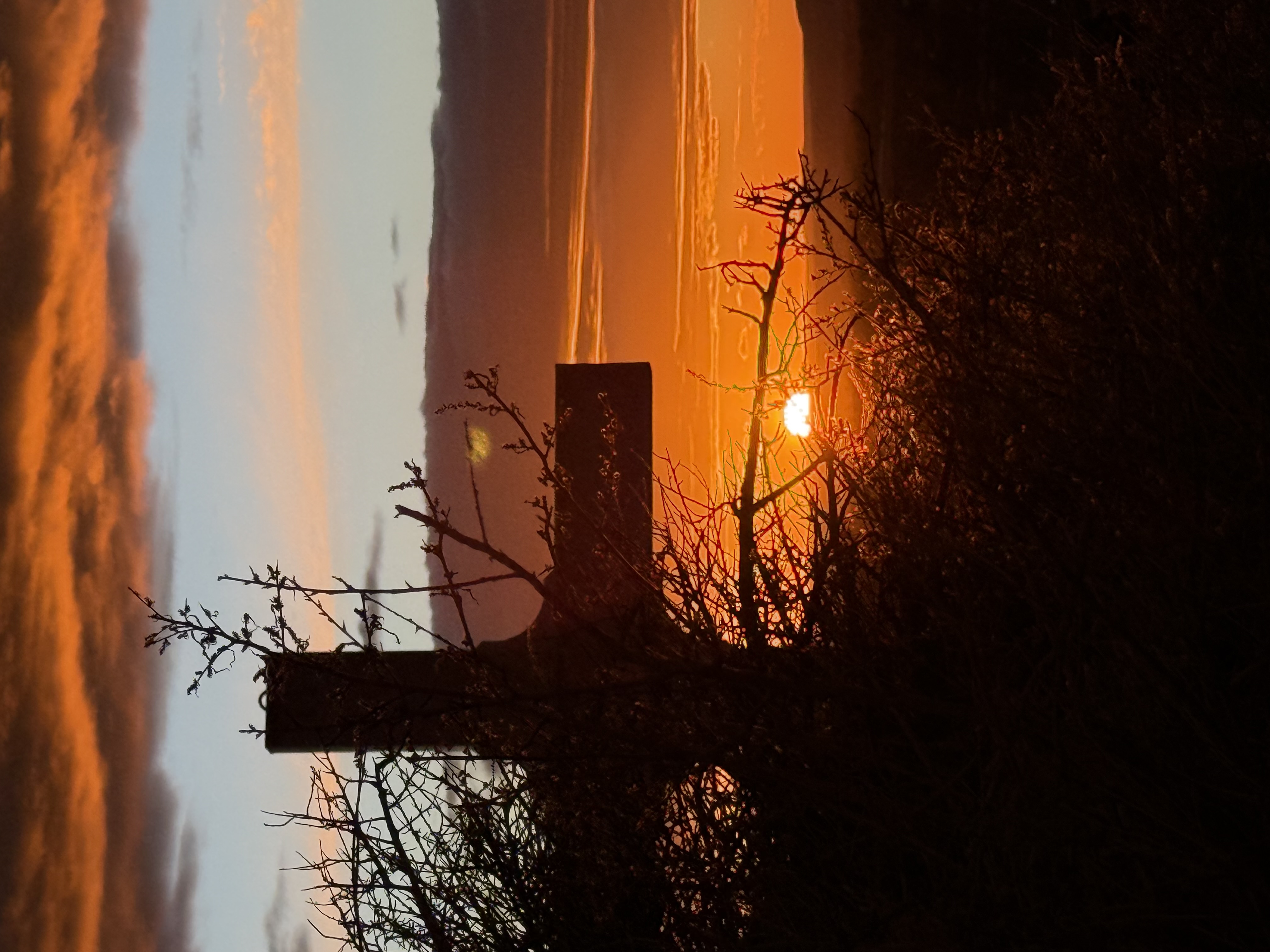 0012_NewMexico IMG 0933