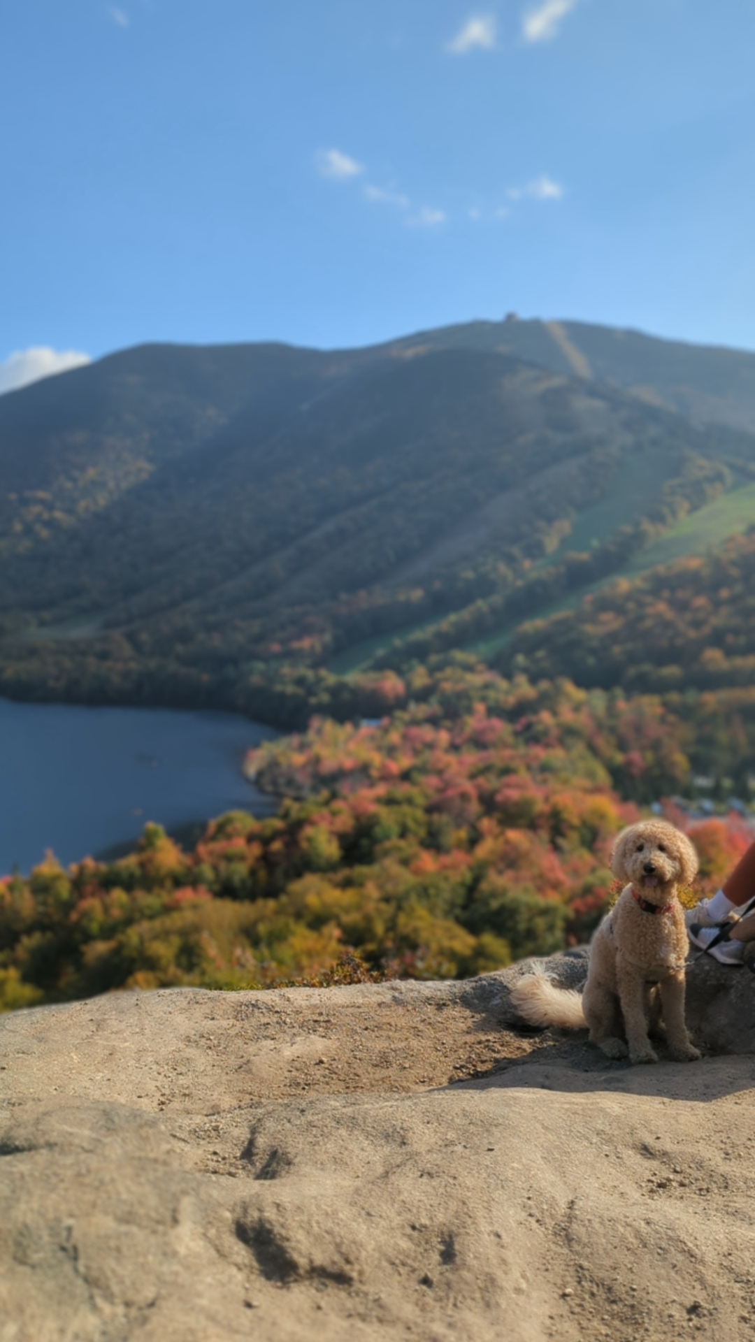 0013_NewHampshire PXL 20231001 194449195